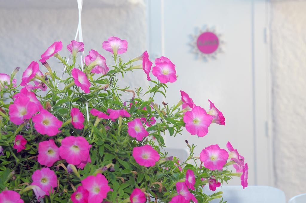 Alacati Alanur Otel エクステリア 写真