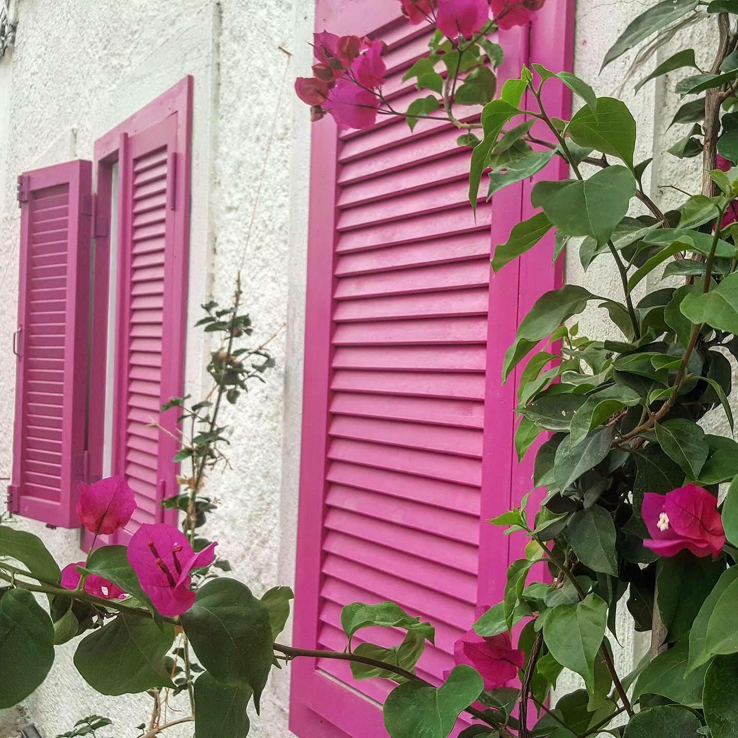 Alacati Alanur Otel エクステリア 写真